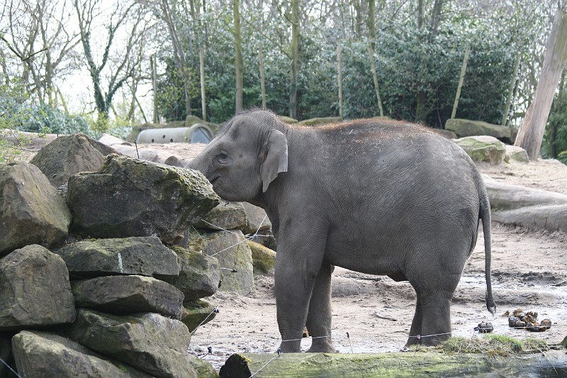 Fotoclubje Blijdorp 2008-158.jpg